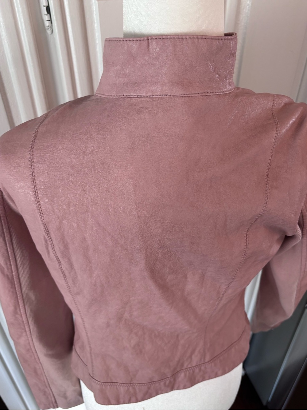 Anthropologie Dusty Rose Asymmetrical Zip Faux Leather Jacket sz S - Picture 3 of 14
